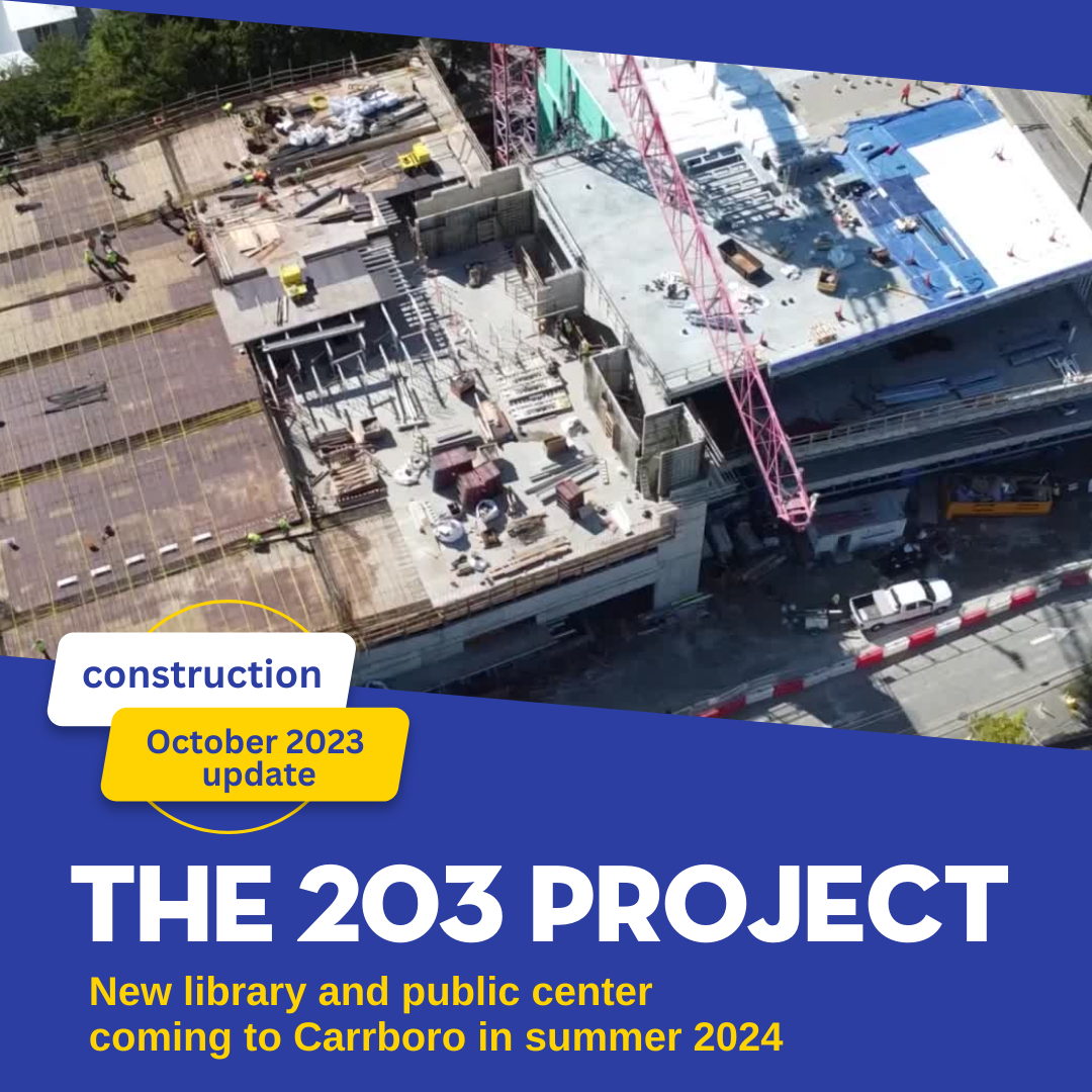 203 Project October Update