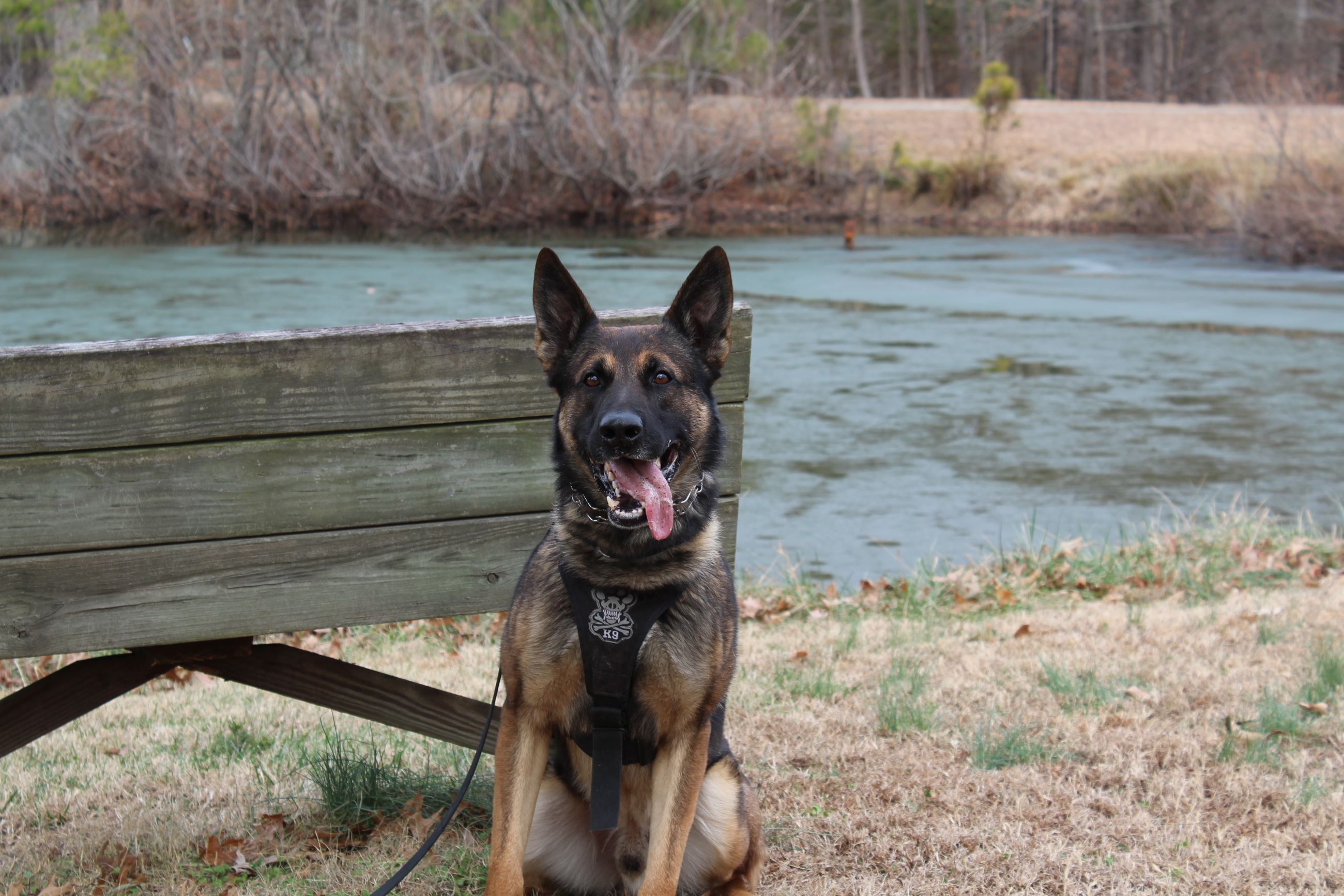 K9 Officer Turbo